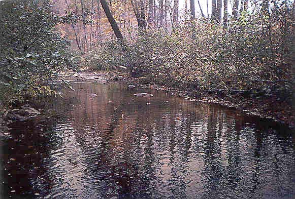 Hliday Creek near gage