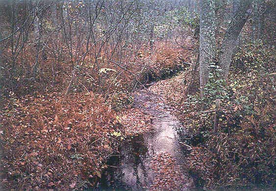 North Holiday Creek