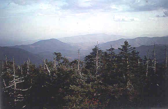 View of basin from Clingmans Dome
