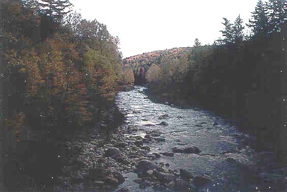 Wild River at Moriah Footbridge