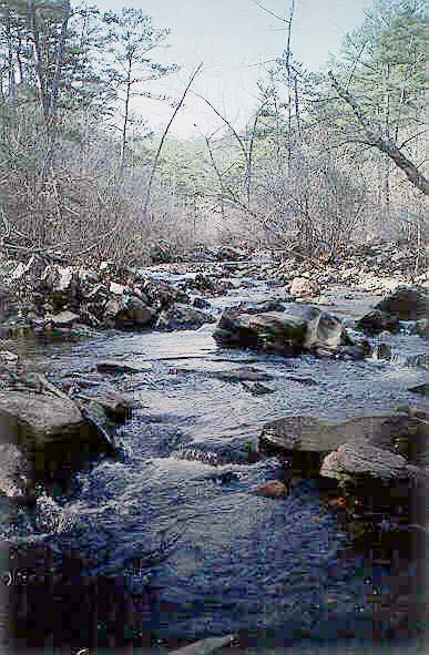 Caney Creek