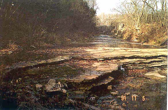 South Hogan Creek 1