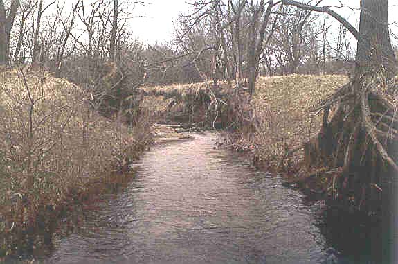 View of Kings Creek