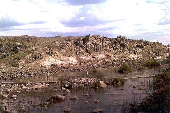Rocky area in the creek