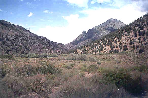 Pasture in the upper basin