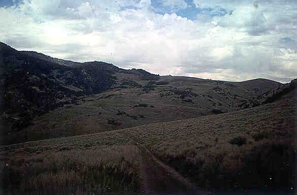 Upper Steptoe Basin