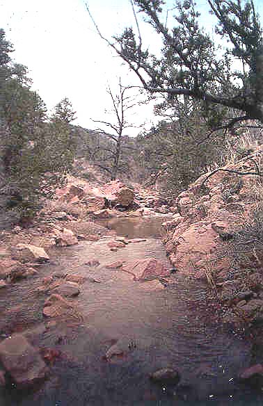 Red Metal Creek Upstream
