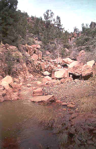 Bull Springs Tributary Stream