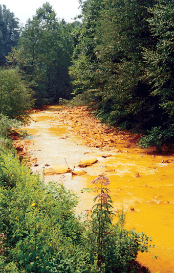 Figure 6. Reddish-orange iron precipitate is commonly seen in streams affected by acid mine drainage.