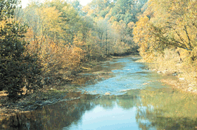 Diverse aquatic communities can be found in western tributaries.