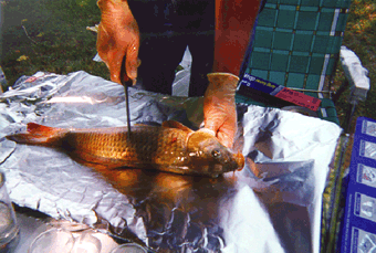 Figure 22. Total chlordane, total DDT, dieldrin, heptachlor epoxide, mercury, and total PCBs were detected in the tissues of carp, rock bass, and northern hog suckers collected in 1996–97.