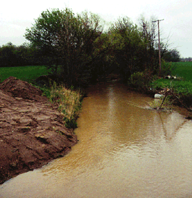 Figure 27. Poor-quality stream habitat supports pollution-tolerant fish along the East Branch of the St. Joseph River.