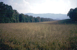 Pasture is the predominant agricultural land use in the Upper Tennessee Basin.