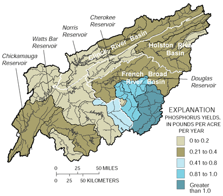 Figure 15. Mean annual total phosphorus yields between 1973 and 1993 were highest in the upper French Broad River Basin.