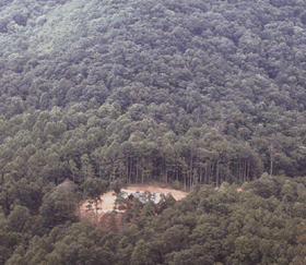 Nonurban residential development in the Blue Ridge Mountains is most likely the largest contributor to increasing total nitrogen concentrations.