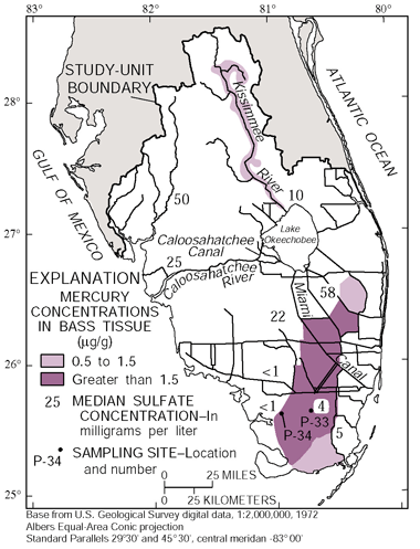 Figure 11. Mercury concentrations in largemouth bass tissue equaled or exceeded 0.5 µg/g in an area in southern Florida. (Lambou and others, 1991). Median sulfate concentrations at SOFL sites, P-33 and P-34, in mg/L, 1996-98 (P-site data from South Florida Water Management District).