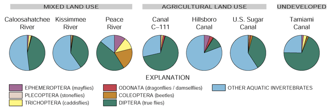 Figure 13. Diptera (true flies) dominated the insect community at the Southern Florida National Water-Quality Assessment Study Unit Sites, 1996–98.