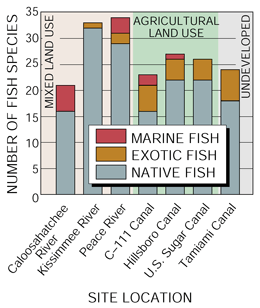 Figure 15. Exotic fish species were collected at all SOFL sites, 1996-98.