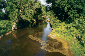 Excess nutrients often cause algal blooms that can be seen in streams and rivers in the basin. Algae reduce the amount of nutrients that remain in the water by converting nutrients into algal biomass. (Photograph by Paul J. Terrio, USGS.)