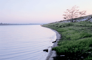 The Illinois River historically was an important wildlife resource. It is gradually recovering that status.