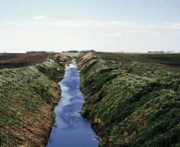 Cultivation of land close to streams, artificial drainage, and stream straightening degrade water quality and aquatic habitat. (Photograph by James D. Fallon.) 