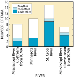 Figure 23. Total number of mayflies, stoneflies, and caddisflies was least downstream from the Twin Cities Metropolitan Area (TCMA) and greatest in the St. Croix River.