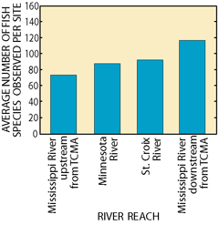 Figure 24. Total number of fishspecies was greatest in the Lower Mississippi River downstream from the Twin Cities Metropolitan Area (TCMA).