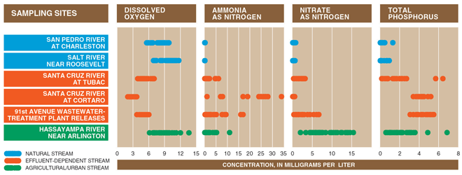 Figure 11. Nutrient enrichment in effluent-dependent streams contributes to abundant algal growth, which results in decreased dissolved oxygen and limited aquatic communities. 