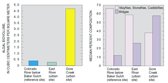 Figure 8. Algal biovolume (the amount of algae) was greater at Gore Creek, which also has greater urban development. The percentage of mayflies, stoneflies, and caddisflies decreased, and the percentage of midges (indicative of more degraded water quality) increased with urban development. Sites shown in order of increasing urban development.