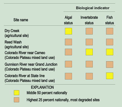 The three selected biological indicators respond to changes in stream degradation. Degradation can result from a variety of factors that modify habitat or other environmental features such as land use, water chemistry, and flow. Algal status focuses on the changes in the percentage of certain algae in response to increasing siltation and often is positively correlated with higher nutrient concentrations in many regions of the Nation. Invertebrate status is the average of 11 invertebrate metrics that summarize changes in richness, tolerance, trophic conditions, and dominance associated with water-quality degradation. Fish status focuses on changes in the percentage of tolerant fish species that make up the total number of fish. "Tolerant" fish are reported to thrive in degraded water quality. For all indicators, higher values indicate degraded water quality. 