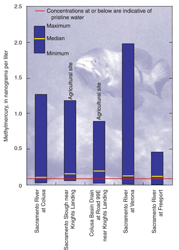 Figure 15. Concentrations of methylmercury at select locations in the Sacramento River Basin. Methylmercury is the form of mercury most likely to accumulate in aquatic species such as fish.