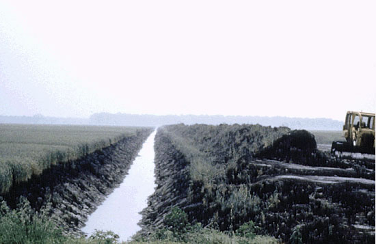 Photo of drainage ditch
