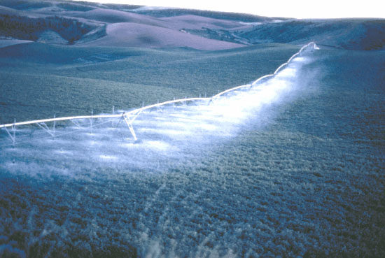 Picture of farmland being sprayed.