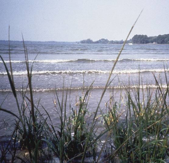 photo of the Chesapeake Bay