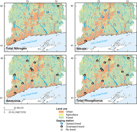 4 maps showing the total nitrogen, nitrate, ammonia, and phosophorus along Long 
Island Sound