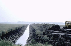 Picture of irrigation ditch.