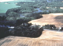 Photo showing vegetation along waterway.