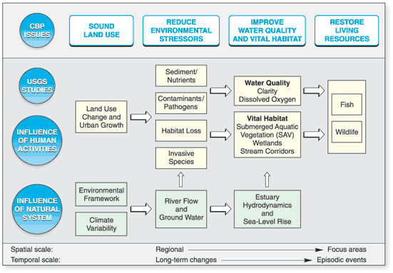 Figure 1.1. U.S. Geological Survey conceptual approach for studies of the Chesapeake Bay and its watershed during 2001-06 and relation to Chesapeake Bay Program issues.