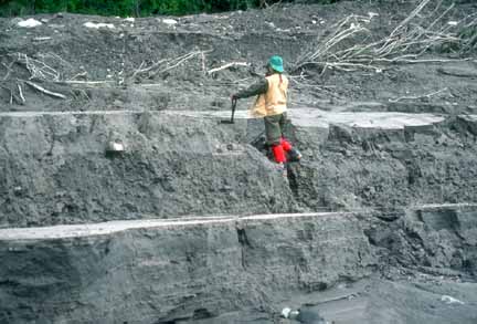 Photograph of geologist in cut bank