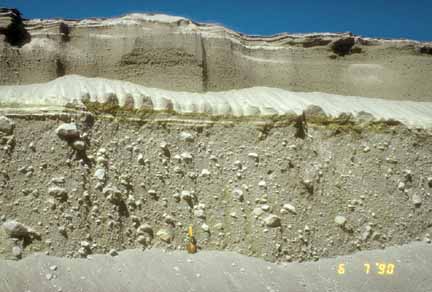 Photograph of section of pyroclastic flow deposits