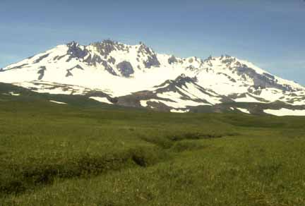 Photograph of snowy, jagged volcanic peaks, blue sky, and green grassy slopes foreground