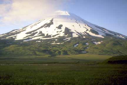 Photograph of symmetrical snow-covered volcano, blue sky, and green, grassy slopes
