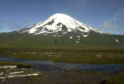 Photograph of symmetrical snow-covered volcano, blue sky, and green, grassy slopes, small stream in foreground