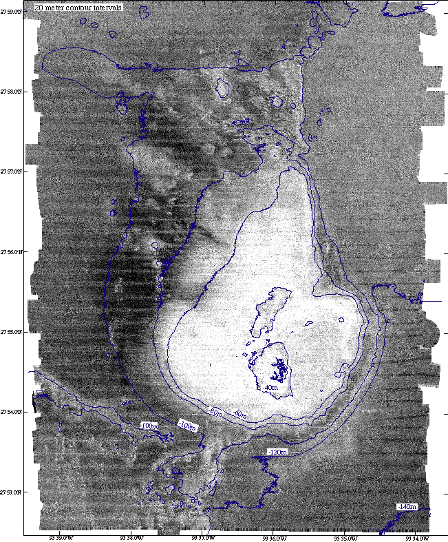 [Backscatter of East Flower Gardens] 