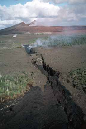 photo 096.  Low-elevation oblique aerial photo of smoking volcano in background and fissure in foreground with trees on sides of fissure