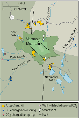 Map of Mammoth Mountain, faults, thermal springs, and tree kill areas, California