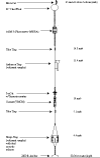 Engineering schematic of the subsurface mooring deployed at the long-term term western Massachusetts Bay Site A from 1996 to present.