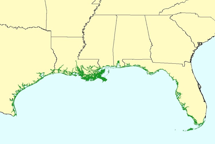 Medium Resolution Digital Vector U.S. Shoreline for the Gulf of Mexico area