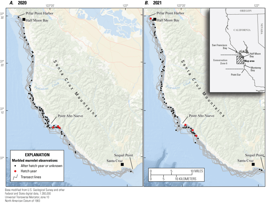 1. Study area and murrelet observations shown on a colored map.
