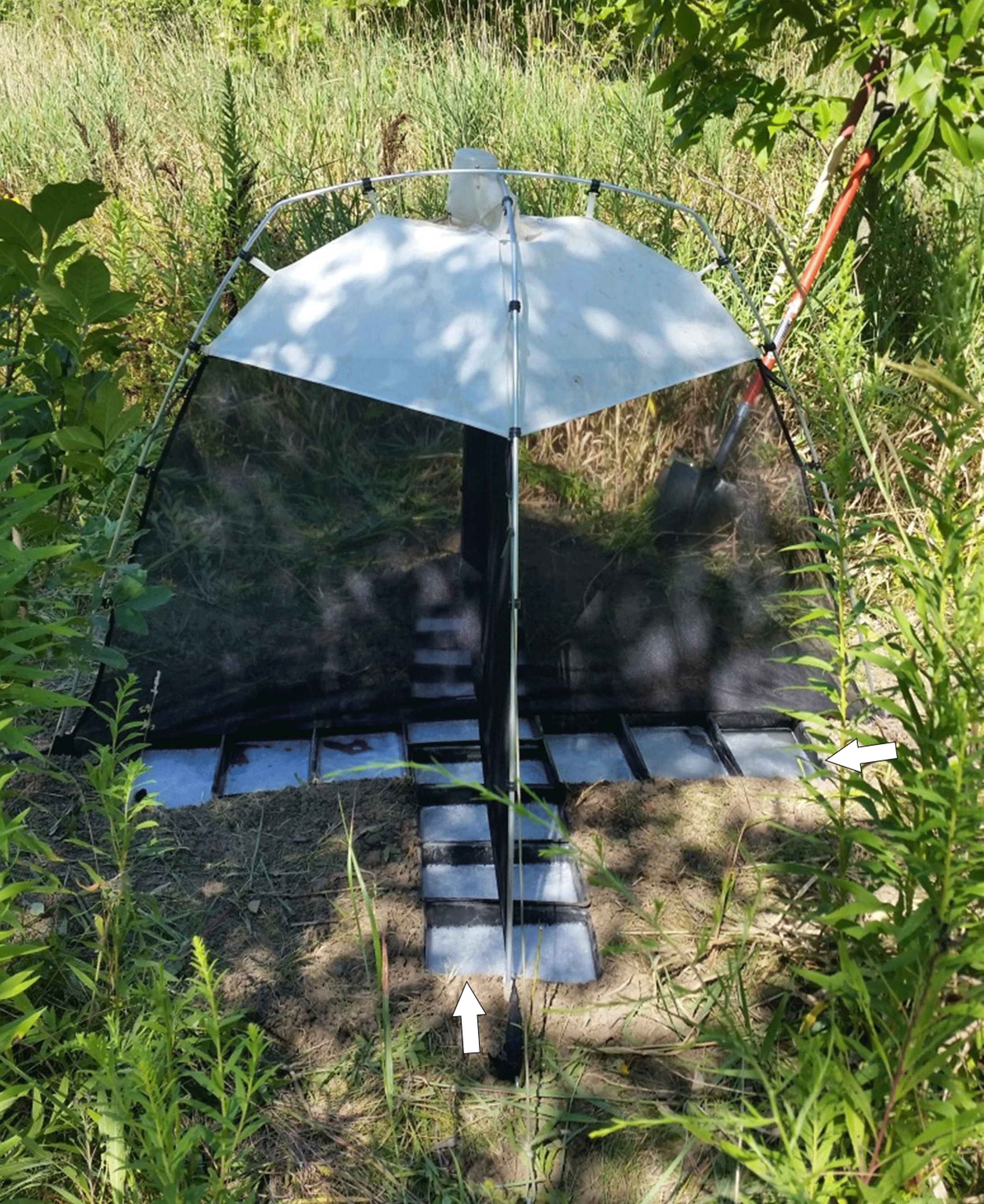 Pitfall-enhanced Malaise invertebrate trap deployed at Deetz Nature Preserve showing
                        ground-level collecting trays.